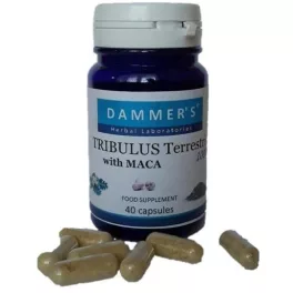 Dammers Tribulus Terrestris királydinnye kapszula 40 db - bio és vegán étrendkiegészítők