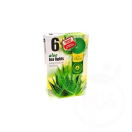 Illatos teamécses aloe vera 6 db-os - aromaterápiához és wellnesshez