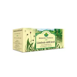 Herbária lándzsás útifű levél filteres 25*1,2 g - bio és vegán étrendkiegészítők