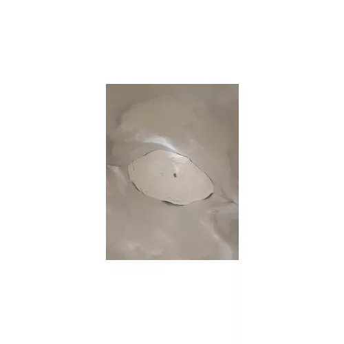 BiotechUSA Hyper Mass 1000g eper