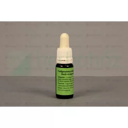 Bach virágeszencia vadgesztenyerügy 10 ml - aromaterápiához és wellnesshez