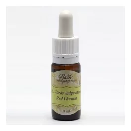 Bach virágeszencia szilfa 10 ml - aromaterápiához és wellnesshez