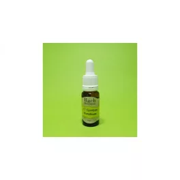 Bach virágeszencia gyertyán 10 ml - aromaterápiához és wellnesshez