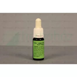 Bach virágeszencia fehér vadgesztenye 10 ml - aromaterápiához és wellnesshez