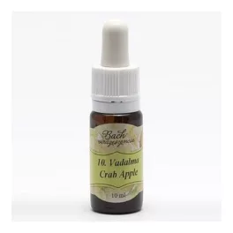 Bach virágeszencia vadrózsa 10 ml - aromaterápiához és wellnesshez