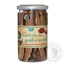Dr.chen ganoderma gomba szelet 50g - bio és új hullámos étkezés
