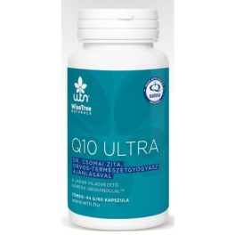 WTN Q10 ultra