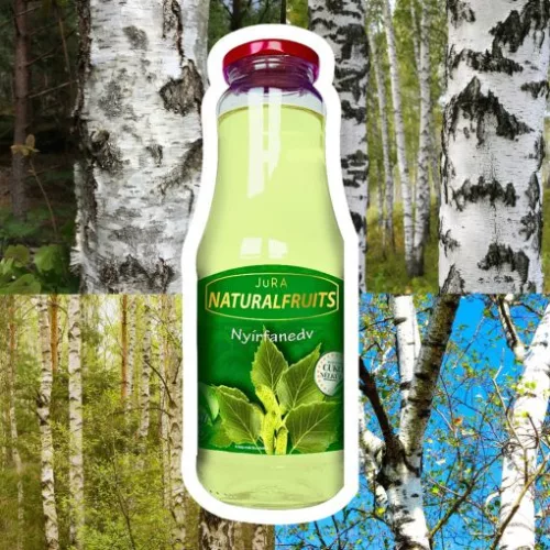 Jura nyírfanedv 100% cukormentes 1000 ml