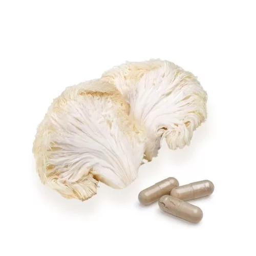 BioMenü bio süngomba kapszula 60 db