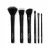 Nu skin nu colour professional makeup brush set (professzionális ecsetkészlet)